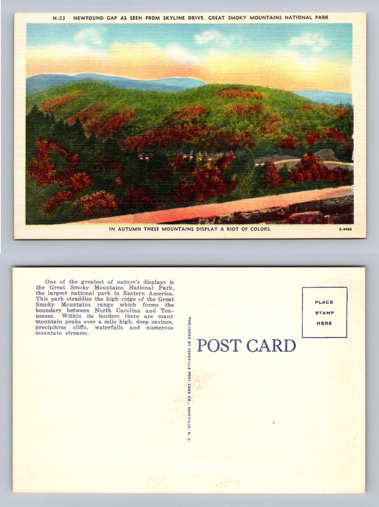 Great Smoky Mountains, NC-North Carolina, Newfound Gap Skyline Vintage Postcard