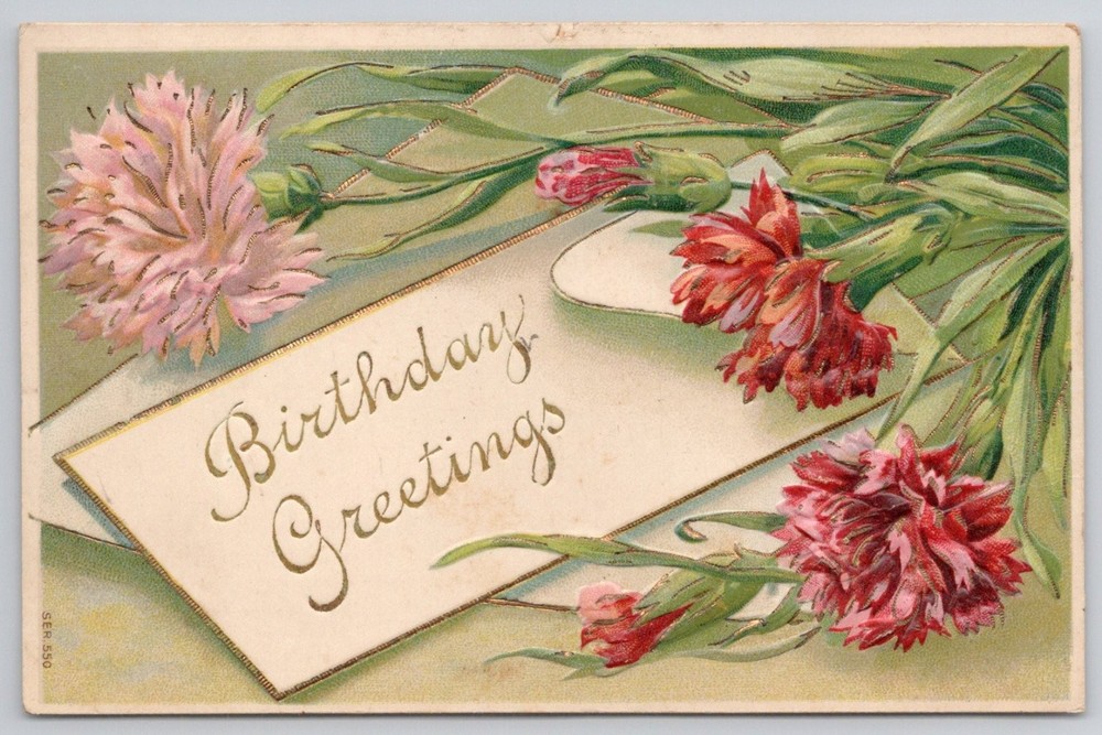 1910 Birthday Greetings Postcard - Embossed Carnations, Atlantic City NJ