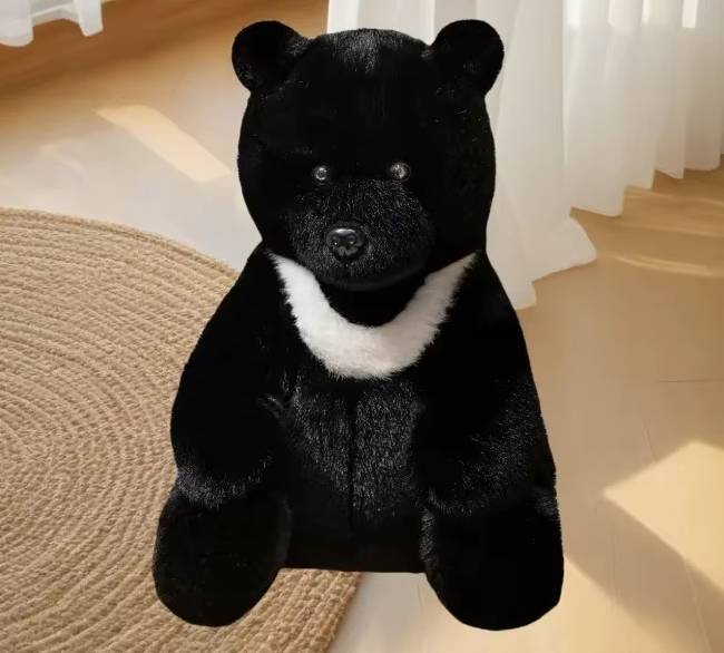 Black Bear 10