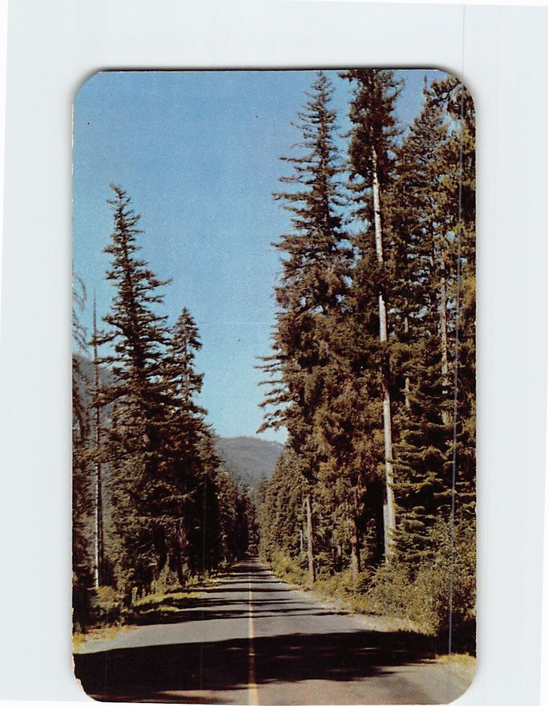 Postcard Naches Pass Highway Washington USA