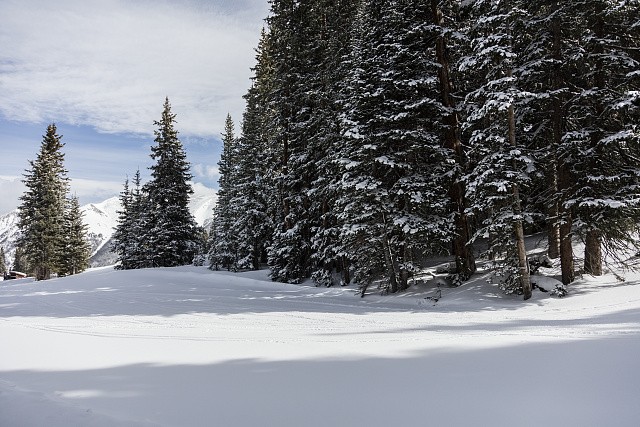 Photo:Copper Mountain Ski Resort Frisco Colorado 2016 Snowy Trail Scene