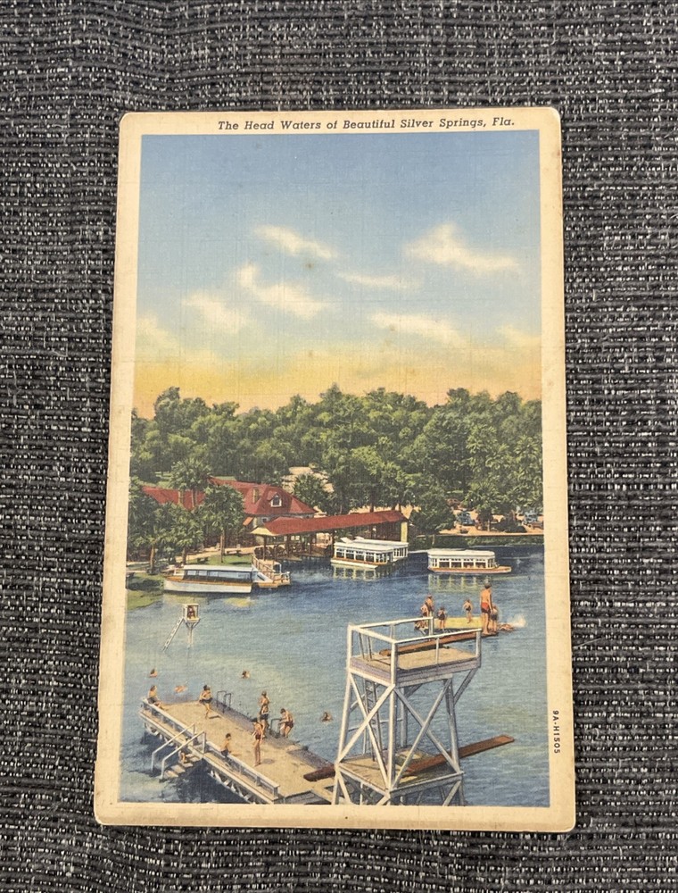 Vintage Linen Postcard Ocala, FL~The Head Waters Of Beautiful Silver Springs