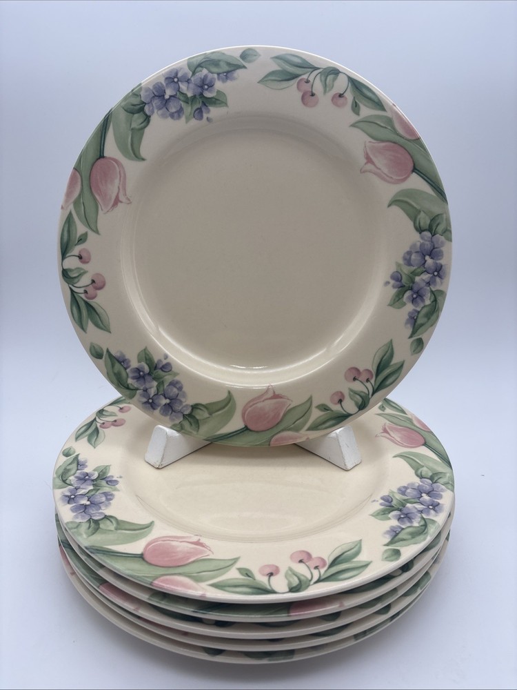 Set Of 6 Pfaltzgraff Garden Party Dinner Plates