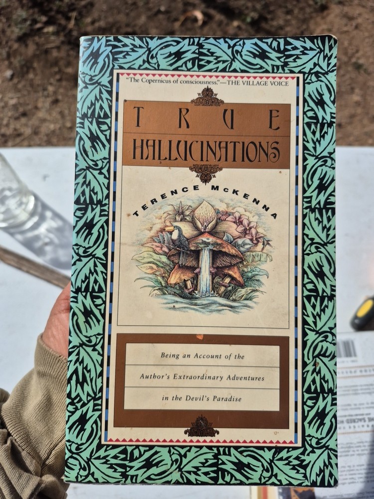 True Hallucinations : Being an Account of the Author's Extraordinary Adventures
