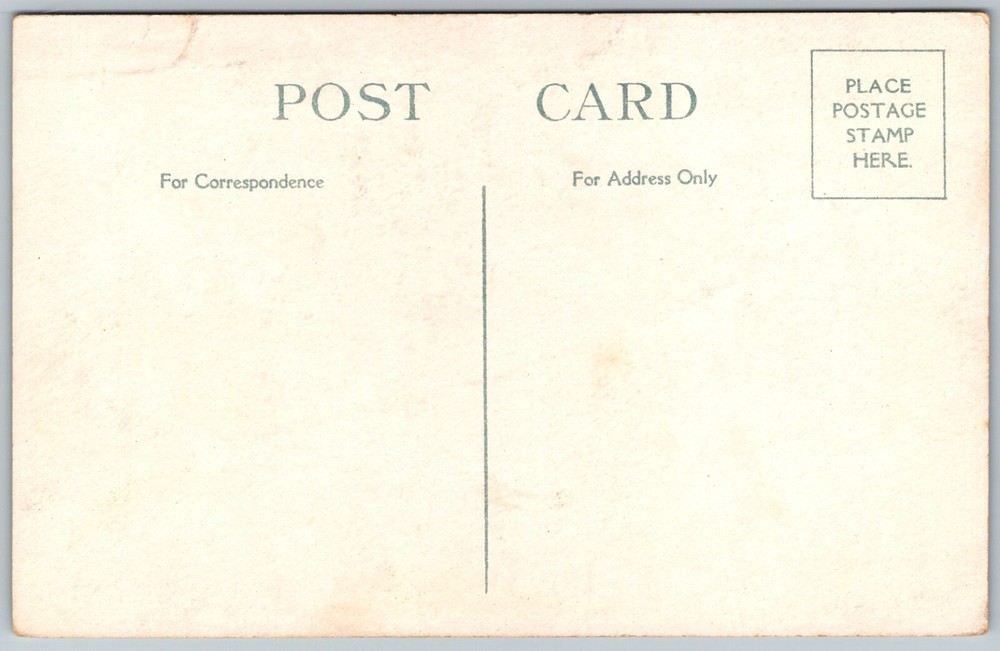New York State Capitol Building ALBANY NY Exterior Landscape ANTIQUE Postcard