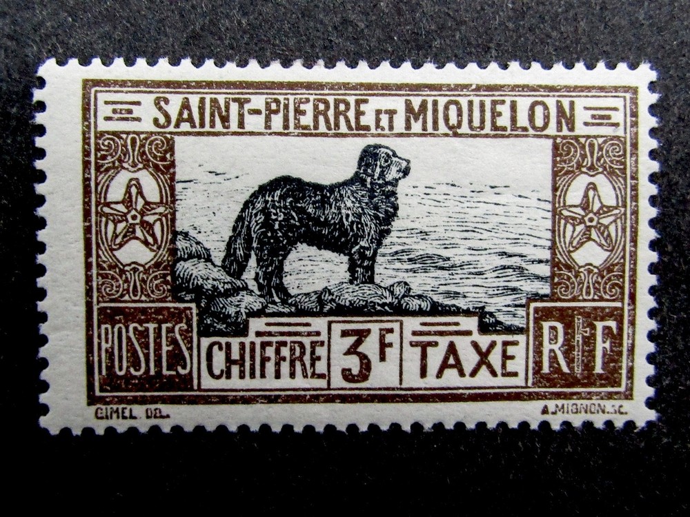 nystamps French St. Pierre & Miquelon Stamp # J31 Mint OG H Y15y1842