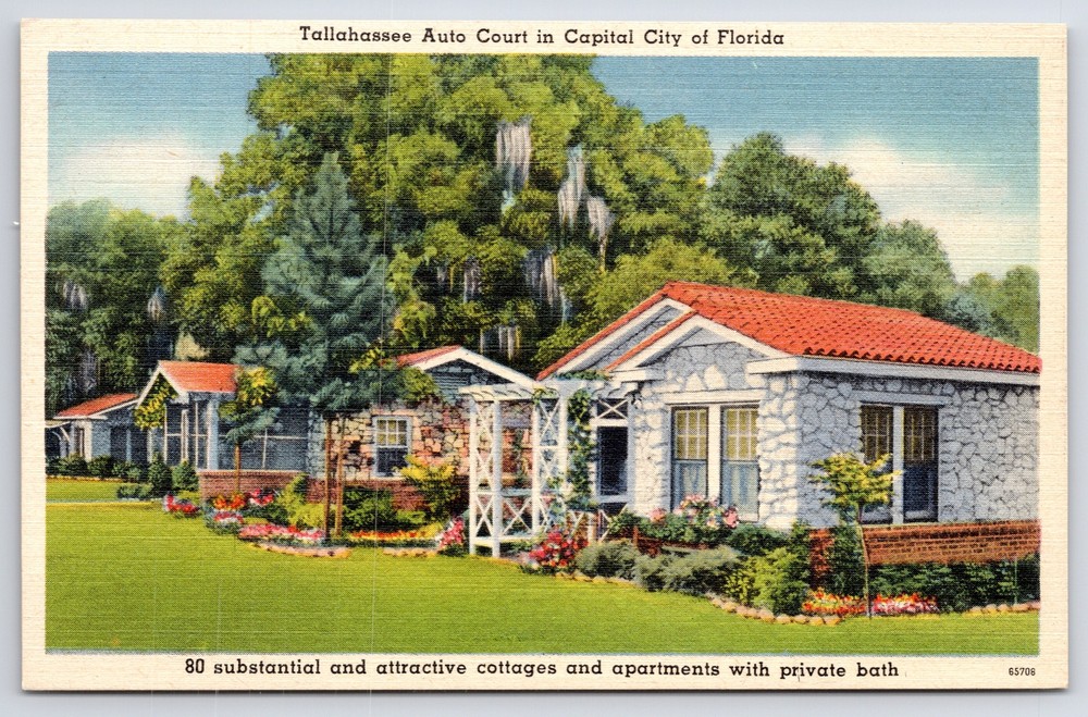 Florida~Tallahasse Auto Court Roadside Motel~Cypress Trees~Vtg Linen Postcard