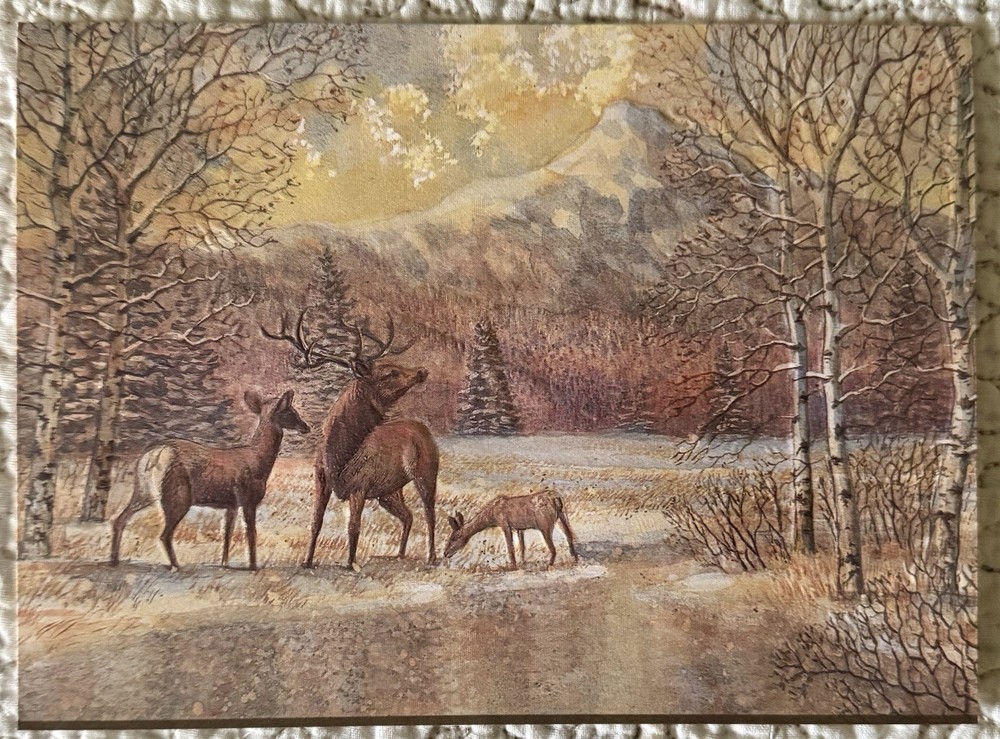 Unused Christmas Deer Buck Doe Baby Woods Mountains Greeting Card 1960s 1970s