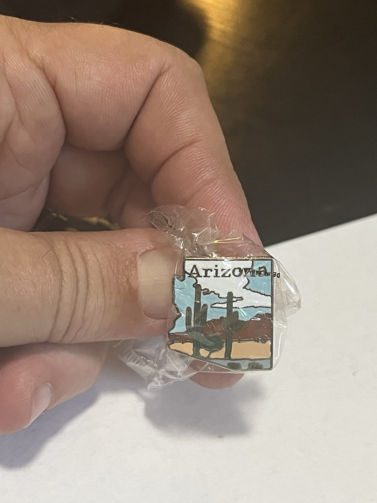 Vintage Arizona Souvenir State Travel Lapel Pin w/ Desert Cactus