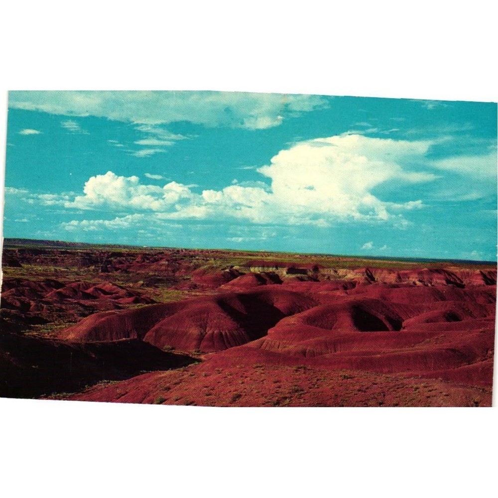 Vintage Painted Desert Arizona Postcard Route 66 Carlos Elmer Petley Studio 447A