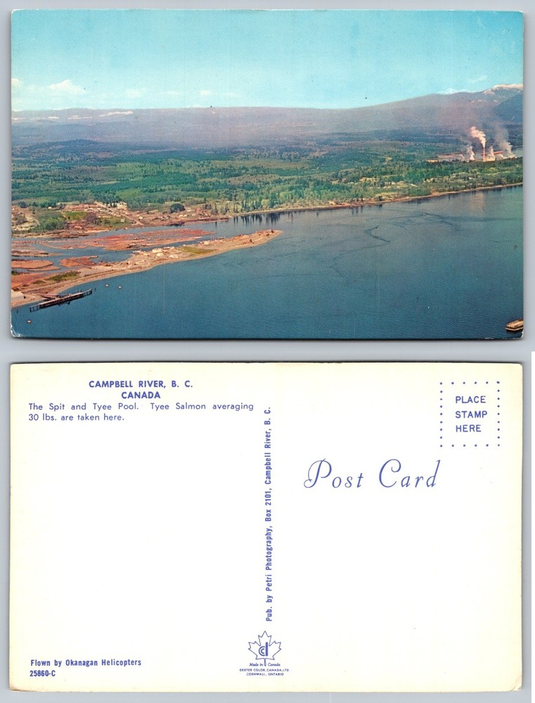 Campbell River Canada Waterfront Mill Postcard