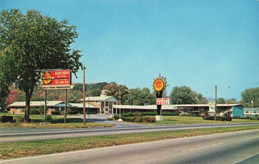 Black Horse Motel - West Springfield Massachusetts MA - Postcard
