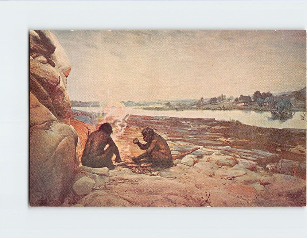 Postcard Restoration Of A Chellean Scene Field Museum Chicago Illinois USA