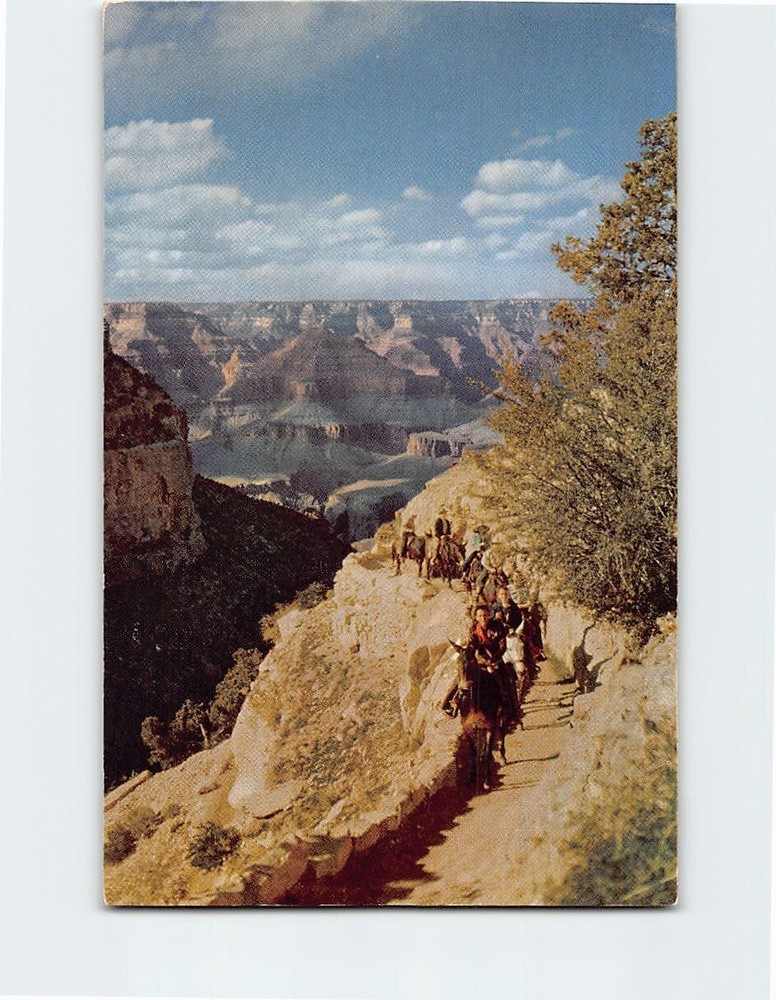 Postcard On Bright Angel Trail Grand Canyon National Park Arizona USA