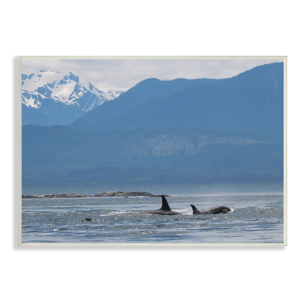Stupell Killer Whale Fines Ocean Mountain Peak Landscape