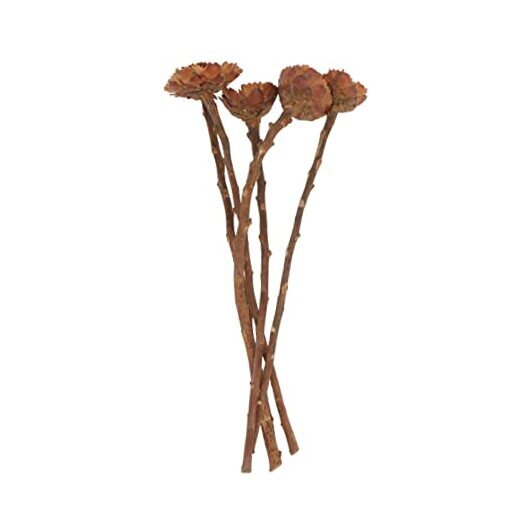 Artificial Plants 5Pcs Dried Sun Flower Stem Dried Bouquet Flowers Ornaments