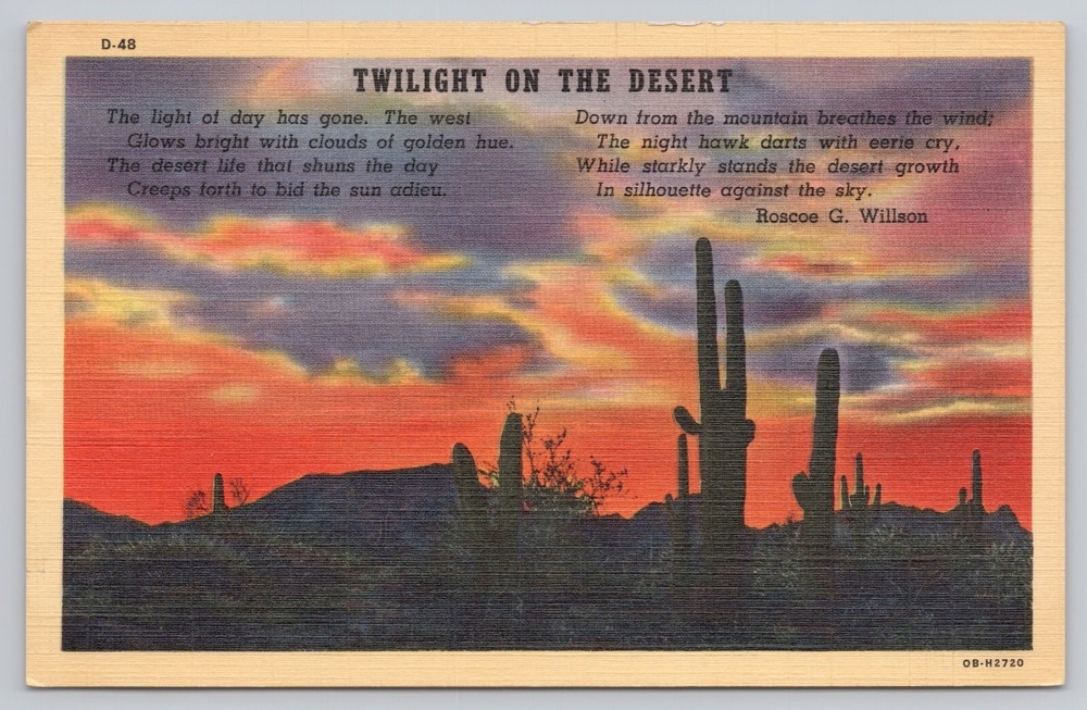 Twilight in the Desert in Arizona, Cactus Silhouettes, Poem, Vintage Postcard