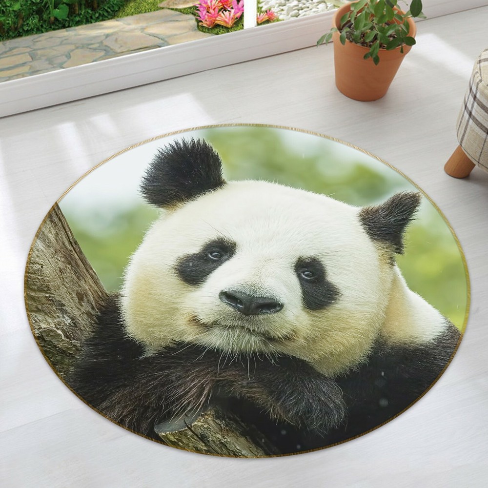 3D Elegant Cute Panda O1614 Animal Non Slip Rug Mat Elegant Photo Carpet Fay