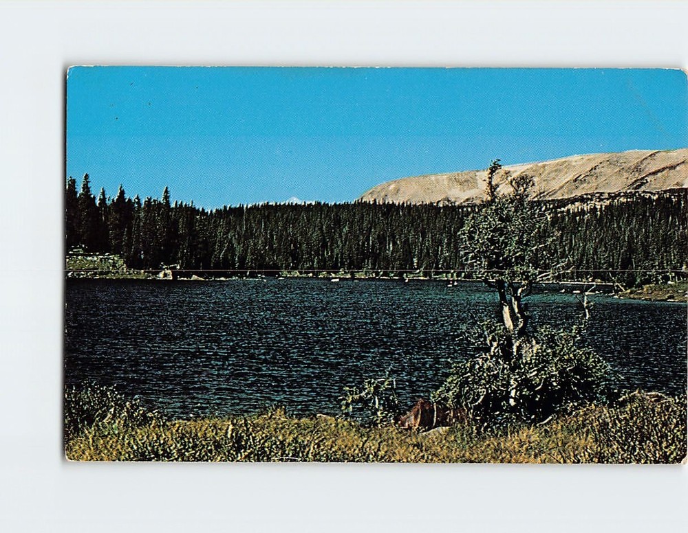Postcard Brooklyn Lake In Snowy Range Of Medicine Bow National Forest Wyoming