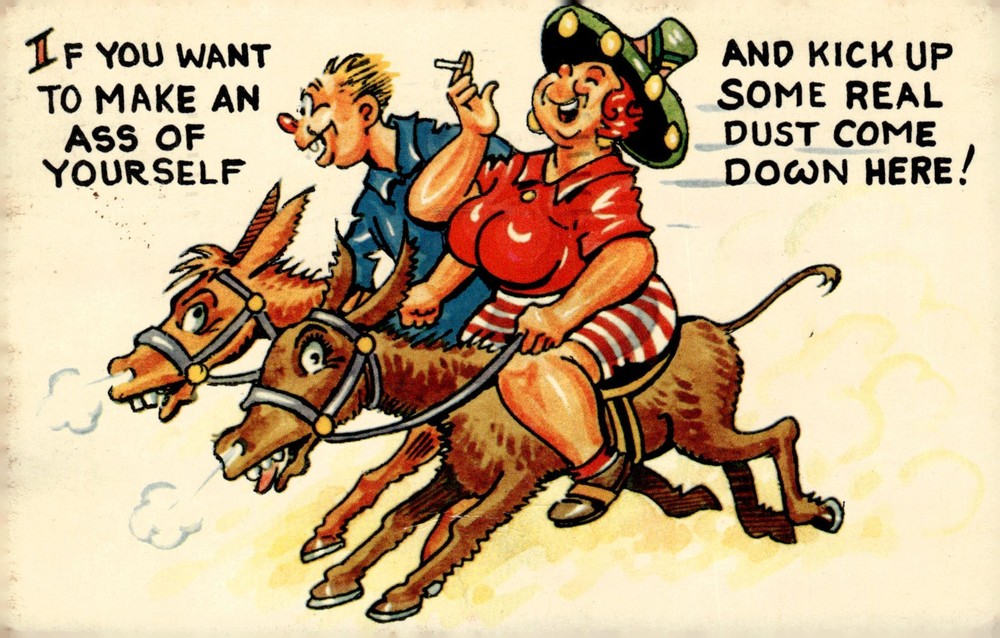1958 Tichnor Bros Rehoboth Beach Delaware MCM Comic Risque Donkey Postcard