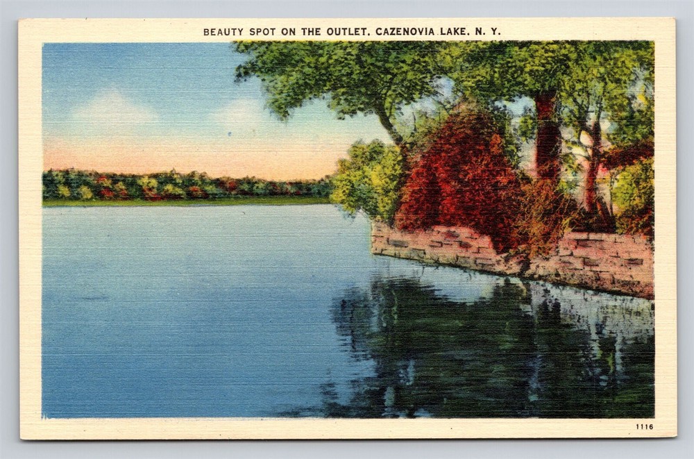 Cazenovia Lake New York Beauty Spot on the Outlet Vintage NY Postcard View