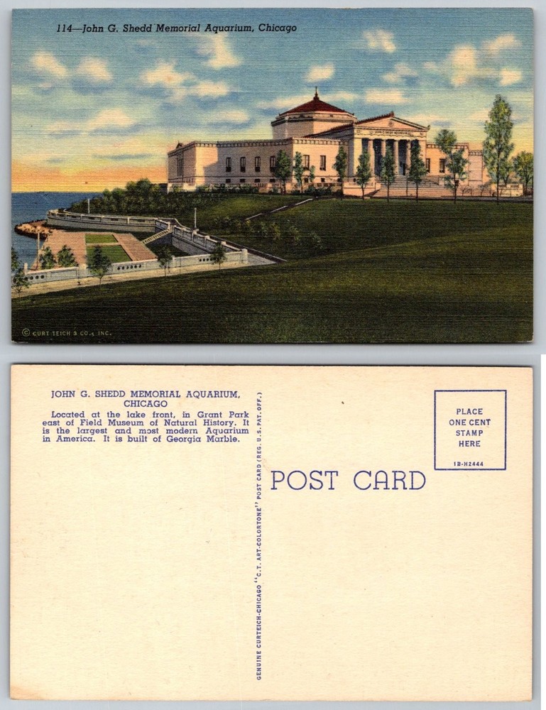 Shedd Aquarium Chicago IL Vintage Postcard Curt Teich Art-Colortone 1940s