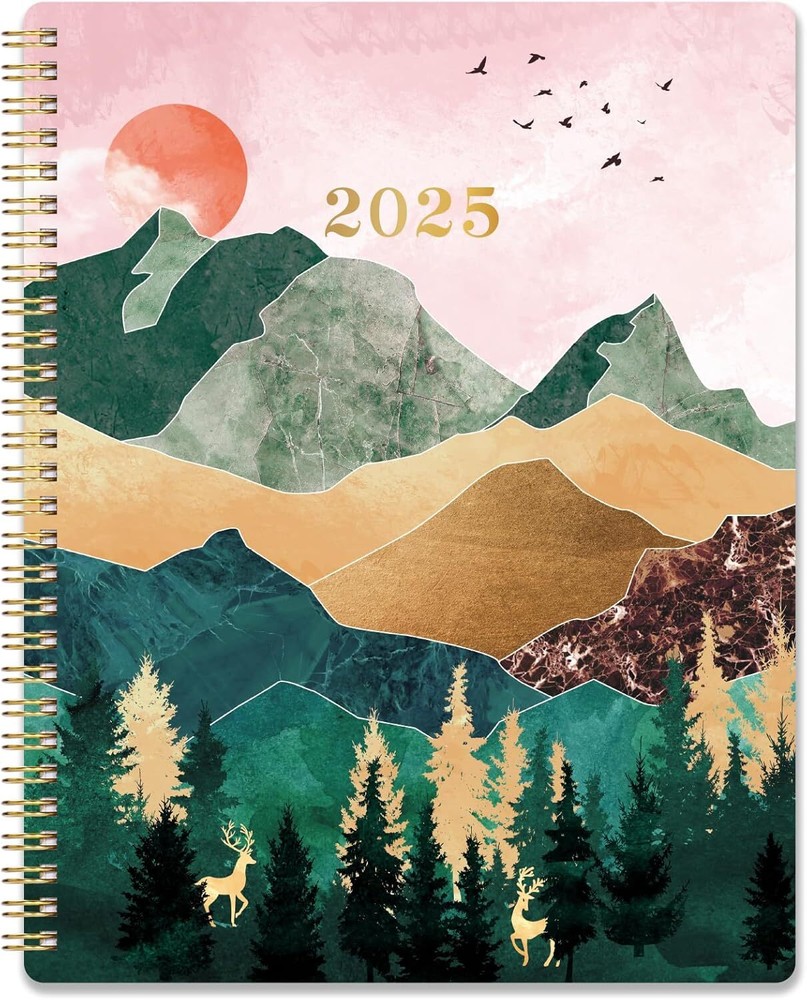 2025 Planner - 2025, Jan. 2025 - Dec. 8'' x x 10'', Pink