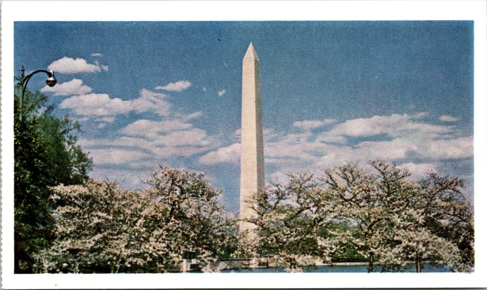 View of Washington Monument Washington DC Vintage American Oil Postcard 1969