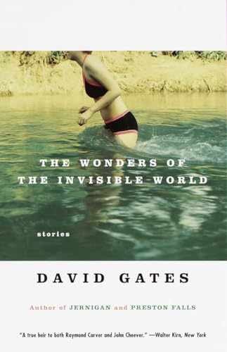 The Wonders of the Invisible World - Paperback, by Gates David - Very Good x