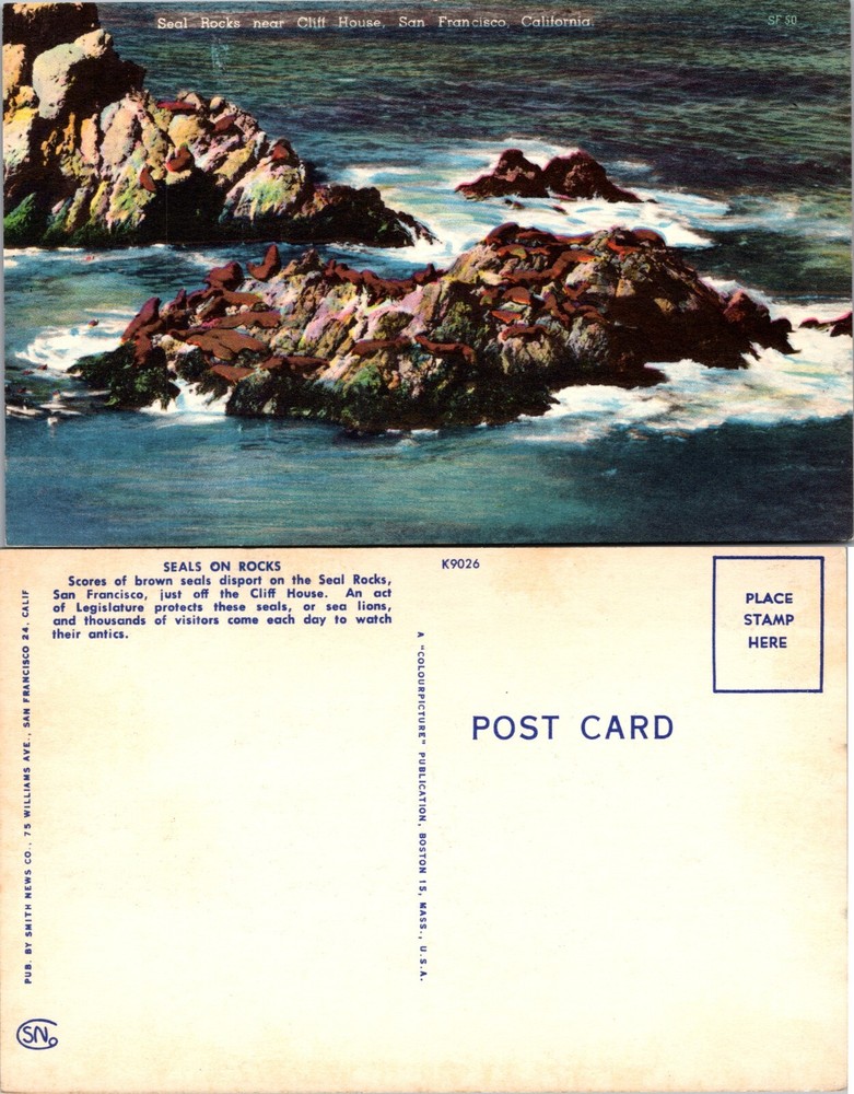 Seal Rocks Near Cliff House San Francisco California CA Postcard