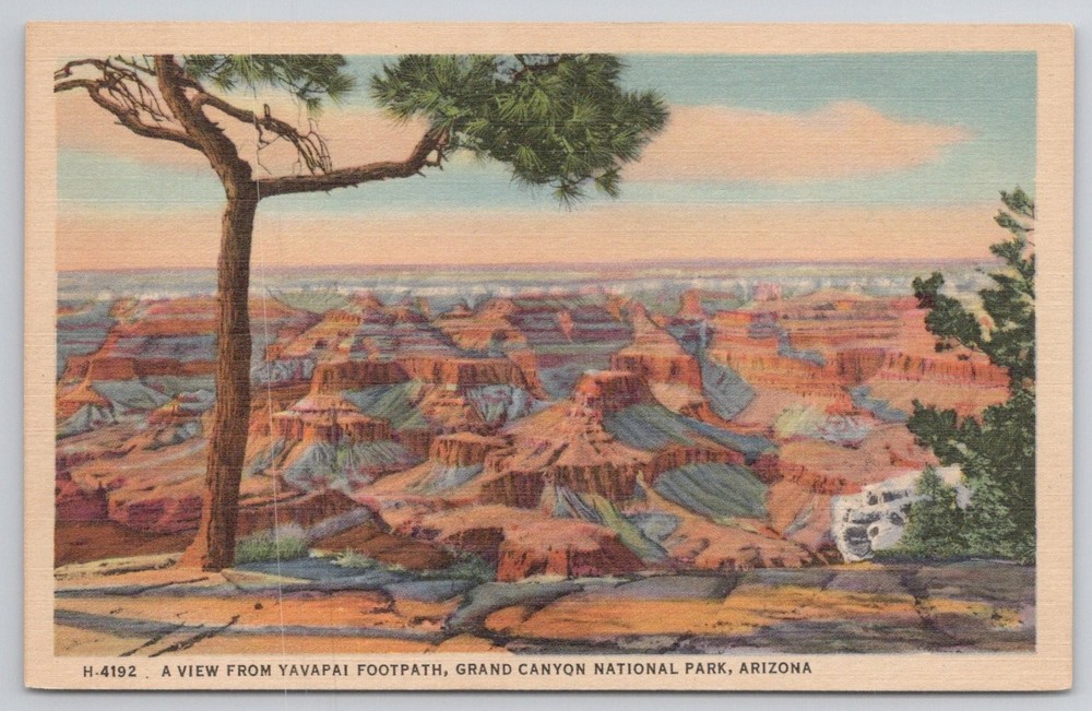 Grand Canyon Yavapai Footpath Fred Harvey Linen Postcard Arizona Scenic View