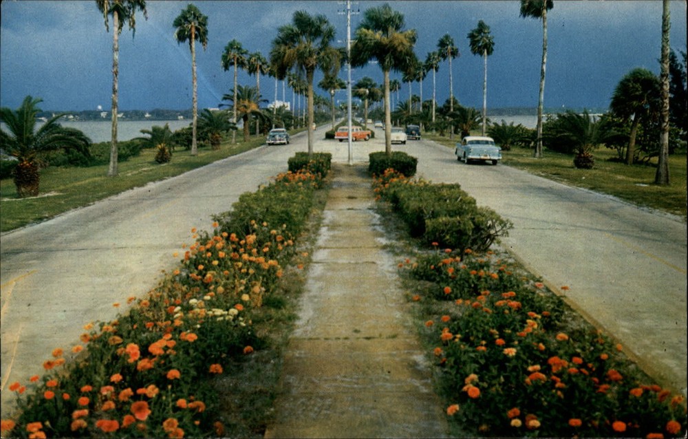 Clearwater Beach Florida flower lined causeway 1950s cars vintage postcard