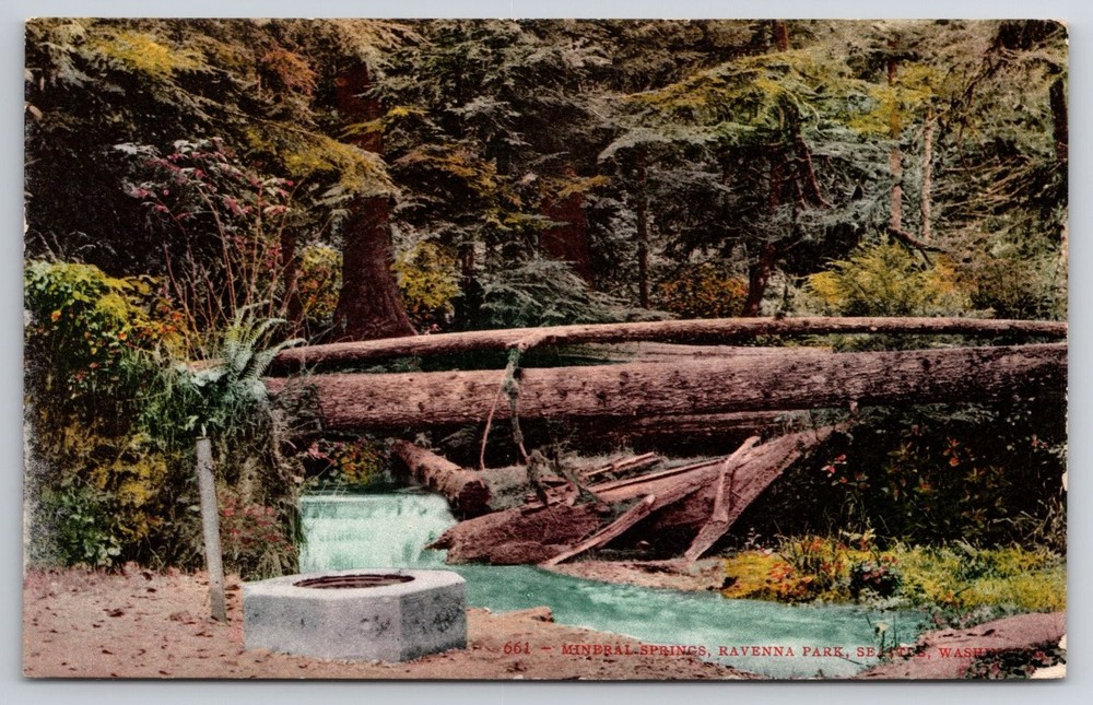 Mineral Springs Ravenna Park Seattle Washington Edward Mitchell Postcard