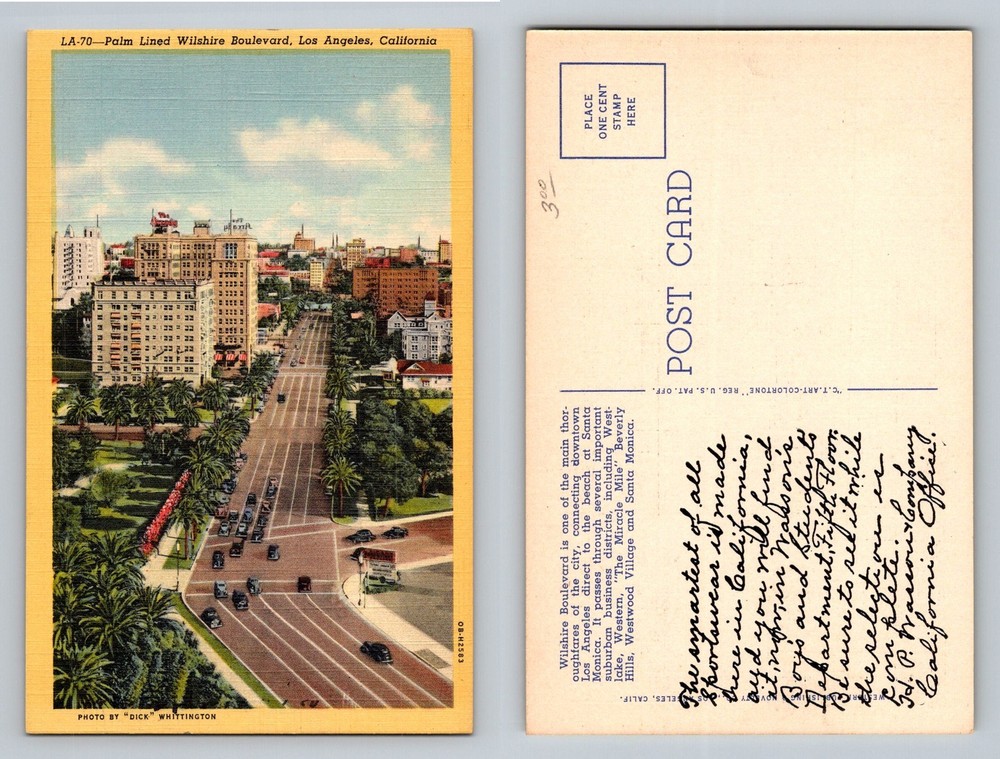 Los Angeles, CA-California, Palm Lined Wilshire Boulevard View Vintage Postcard