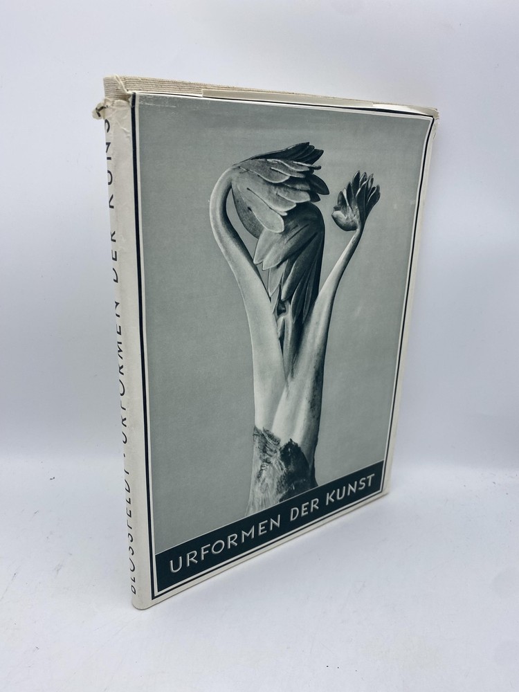 Urformen der Kunst Blossfeldt, Karl B00085QA1U Ernst Wasmuth Fifth Edition Hardc