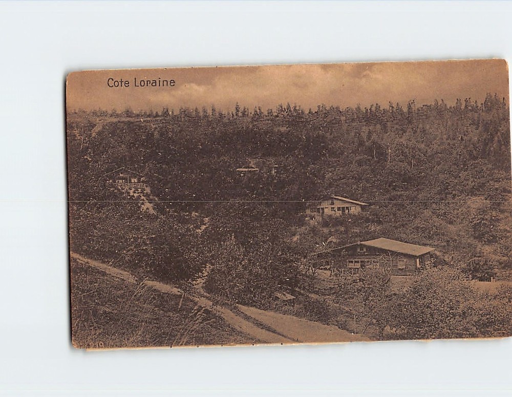 Postcard Countryside Nature Scene