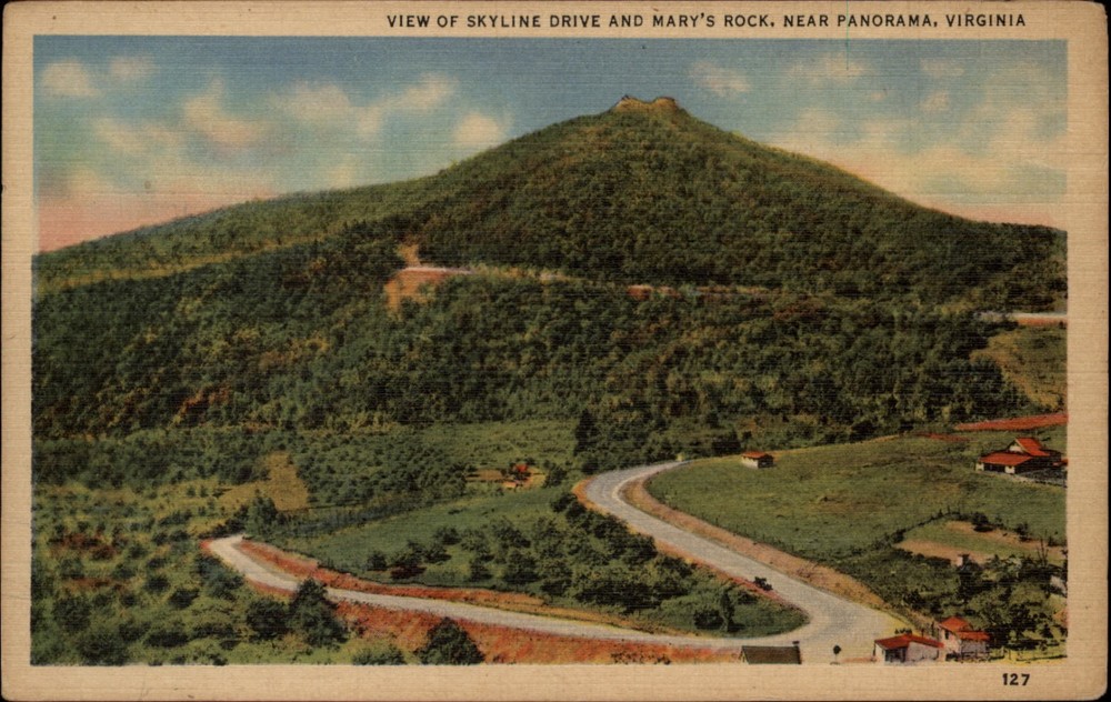 Skyline Drive and Mary's Rock Panorama Virginia vintage postcard s832