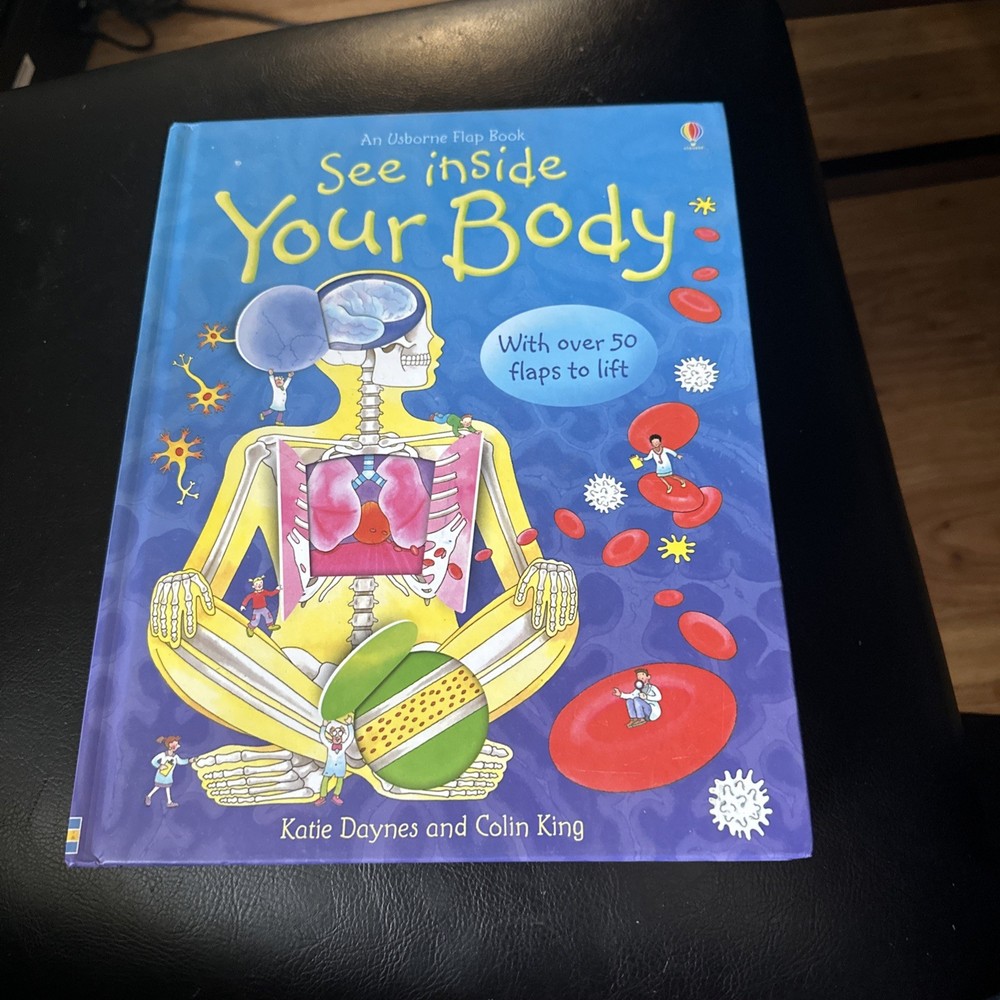 See Inside Your Body by Katie Daynes (2006, Children's Board Books)