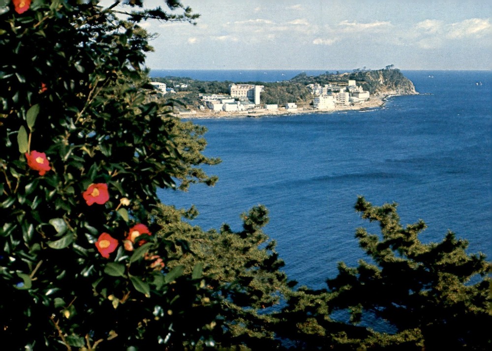 Japan Travel Company Stamp Postcard Postcard