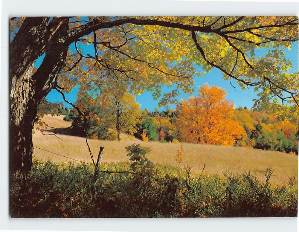 Postcard Autumn Nature Scene in Vermont USA