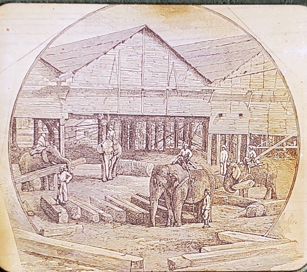 Elephants Working in a Log Mill?, NO LABEL, Victor Magic Lantern Glass Slide