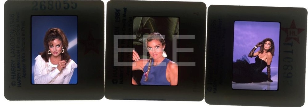 Tracy Scoggins Movie Actress Model Harry Langdon Transparency w/rights Lot 391E