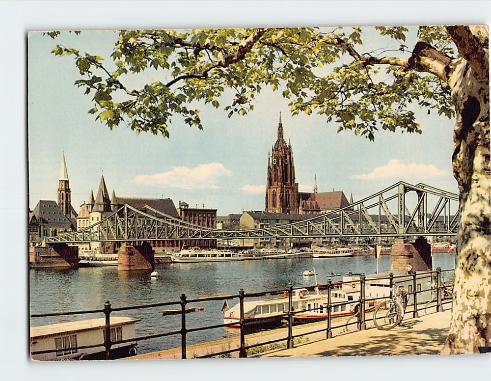 Postcard Partie am Main Frankfurt Germany