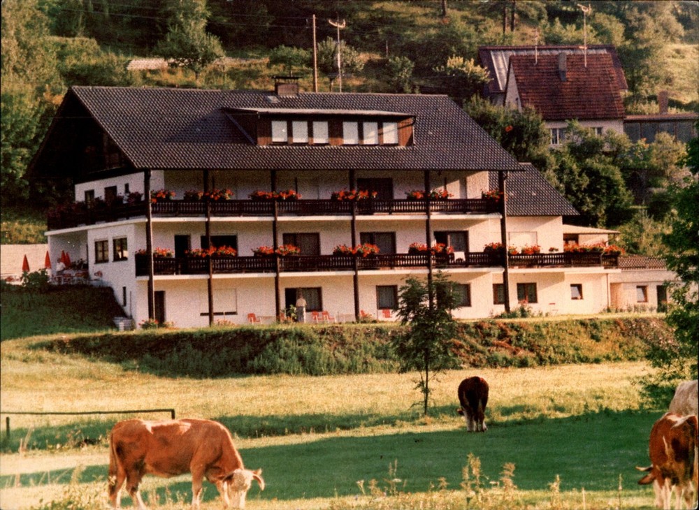 Pension Hirschbachtal Frankenalb Bayern vintage postcard g348