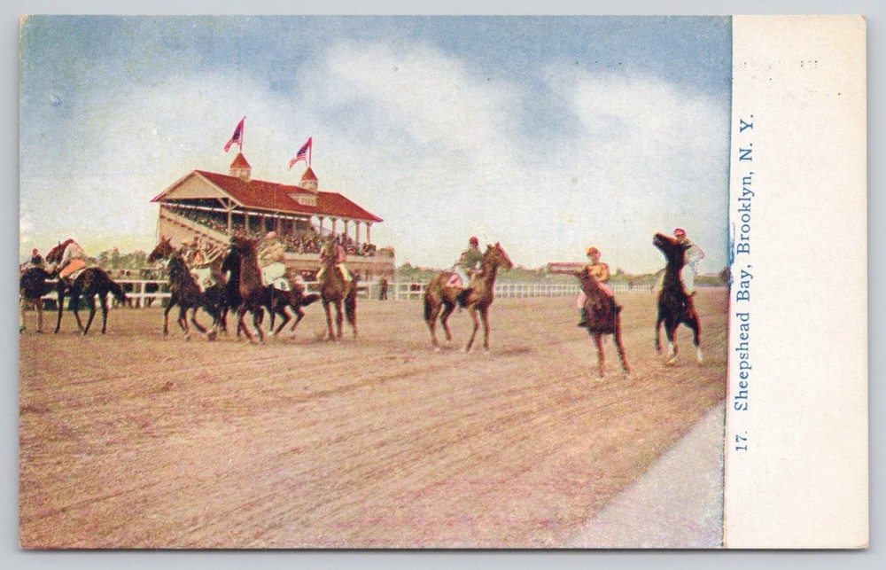 Vintage Sheepshead Bay Brooklyn NY Horse Racing Track Postcard