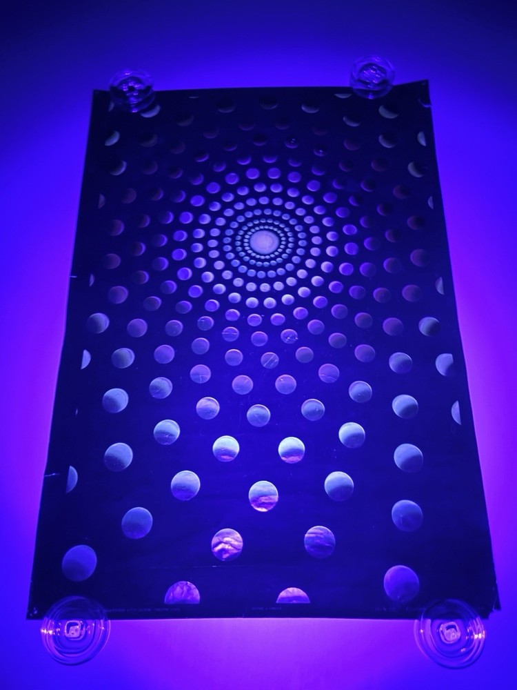BLACK LIGHT POSTER 1970s  Alpha & Omega