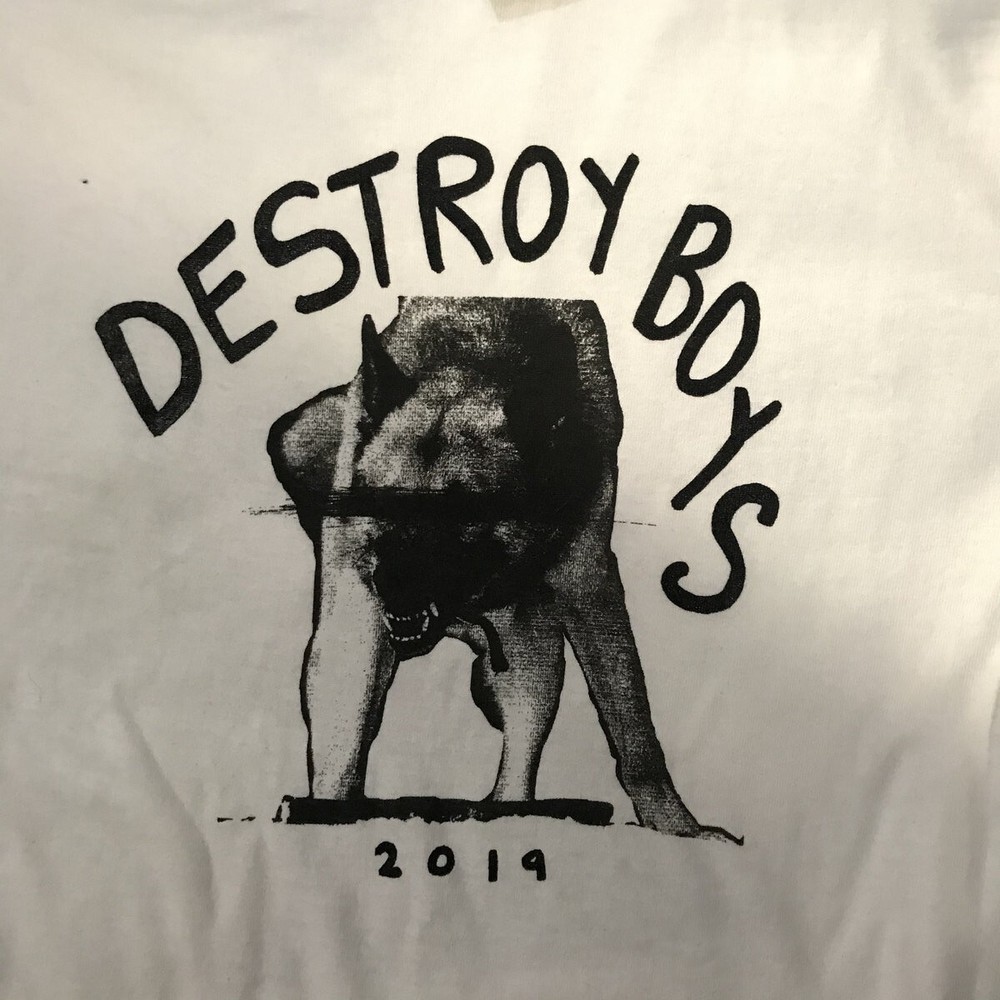 Vintage Destroy Boys Band T-Shirt Tee Short Sleeve All Size S-5XL