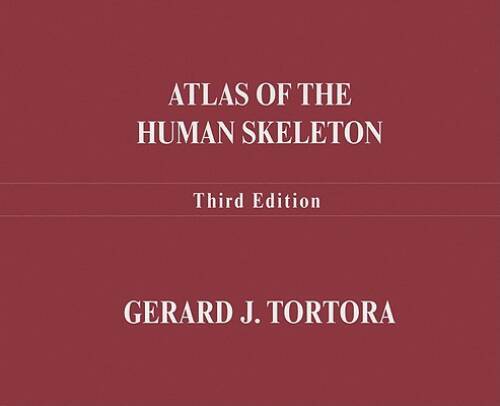 Atlas of the Human Skeleton - Paperback By Tortora, Gerard J. - GOOD