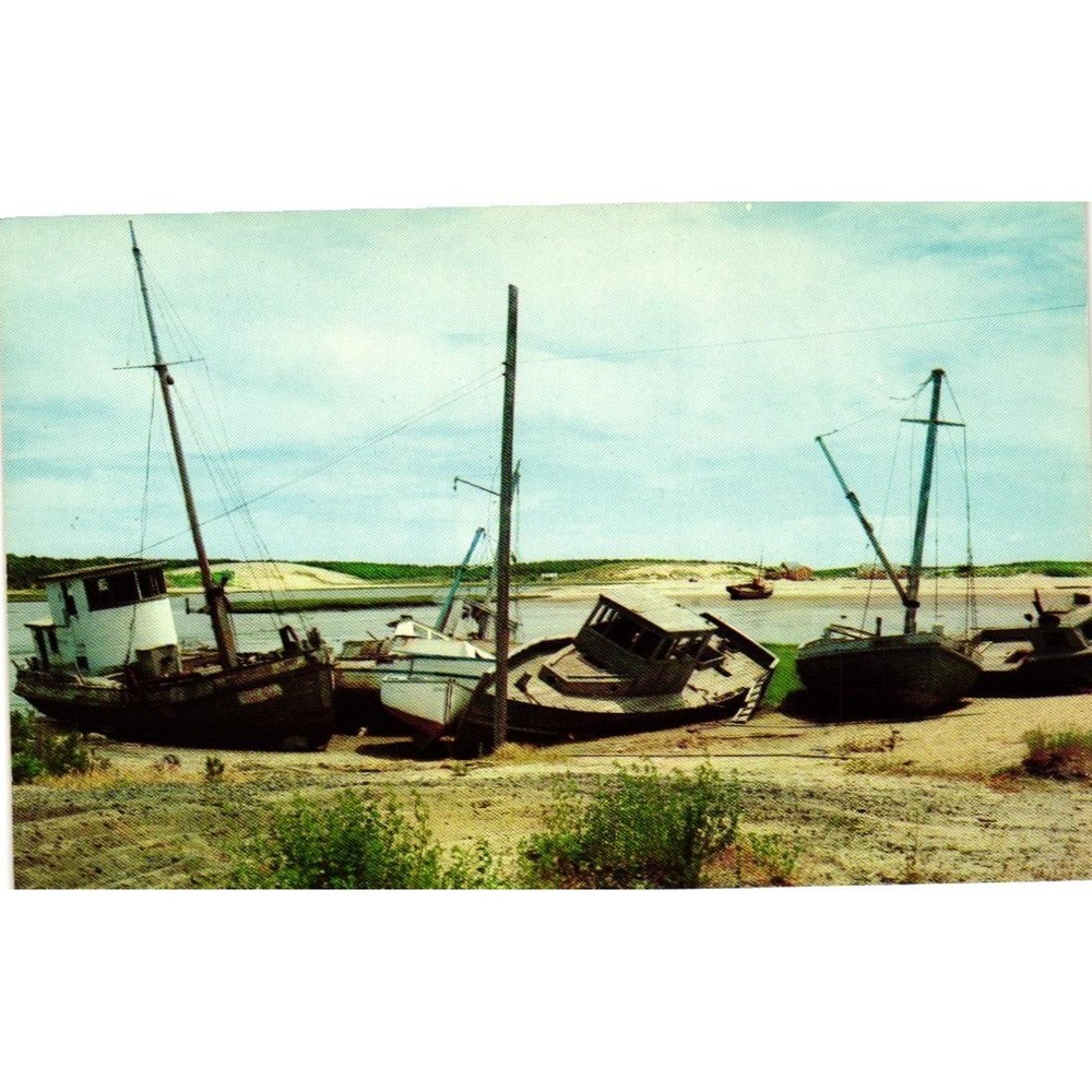 Vintage Cape Cod Massachusetts Postcard Fishing Boats at Low Tide Dexter Press