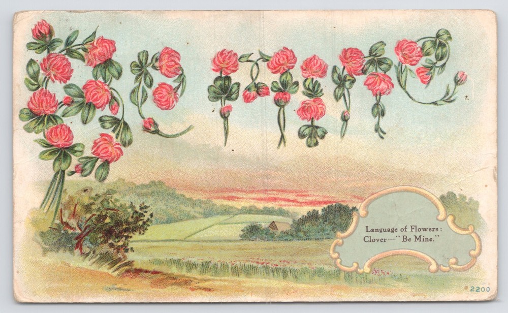 Greetings~Red Clovers Language of Flowers Be Mine~Vintage Postcard